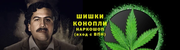 spice Нея