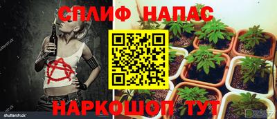 метадон Камышлов