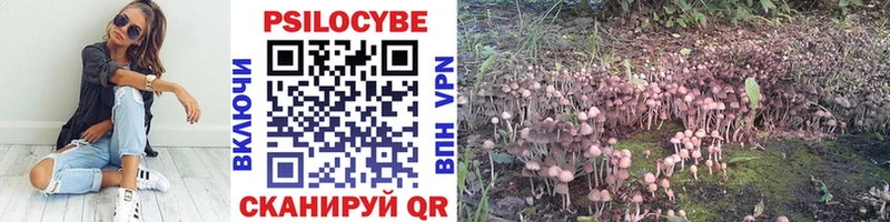 Галлюциногенные грибы MAGIC MUSHROOMS  как найти наркотики  Киреевск 