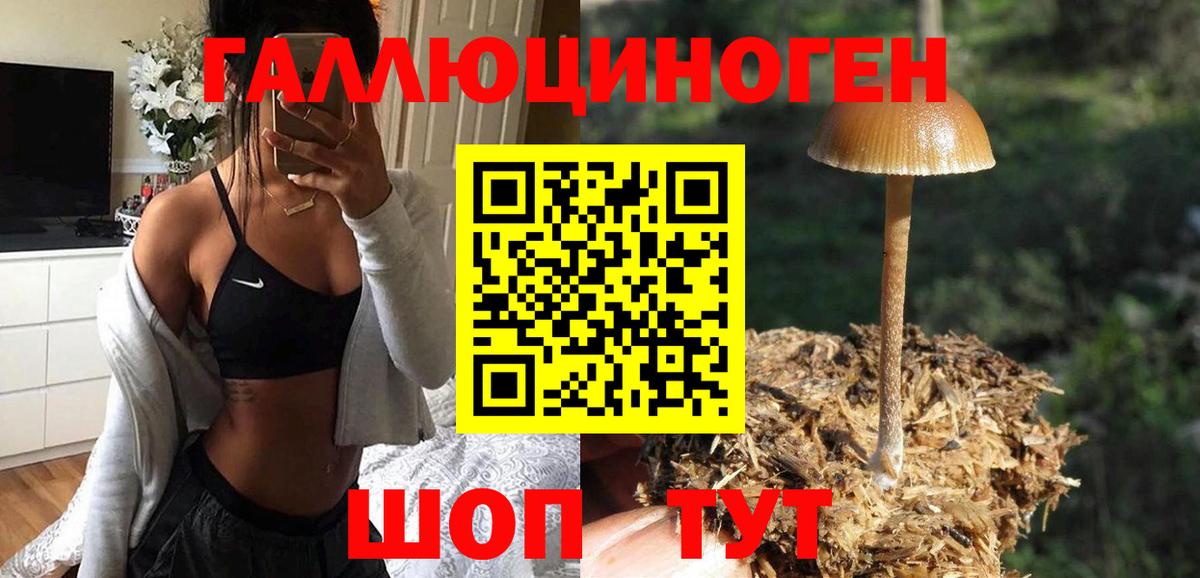 Псилоцибиновые грибы GOLDEN TEACHER  Вход с VPN  Киреевск 